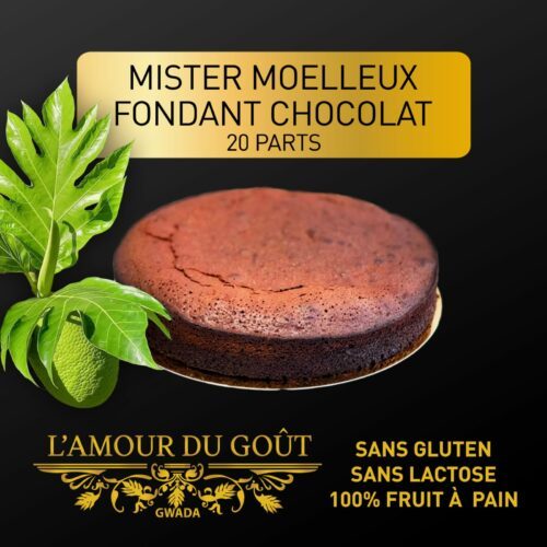 Mister Moelleux Fondant au Chocolat – 10 parts