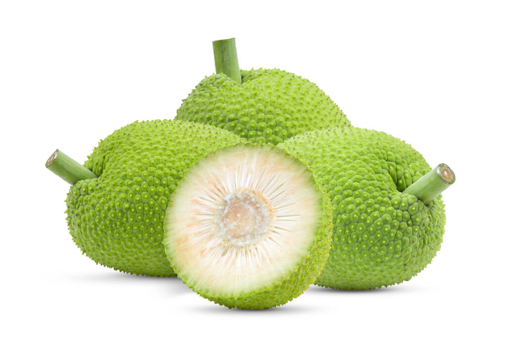 fruit à pain frais Guadeloupe ingrédient naturel L'Amour Du Goût