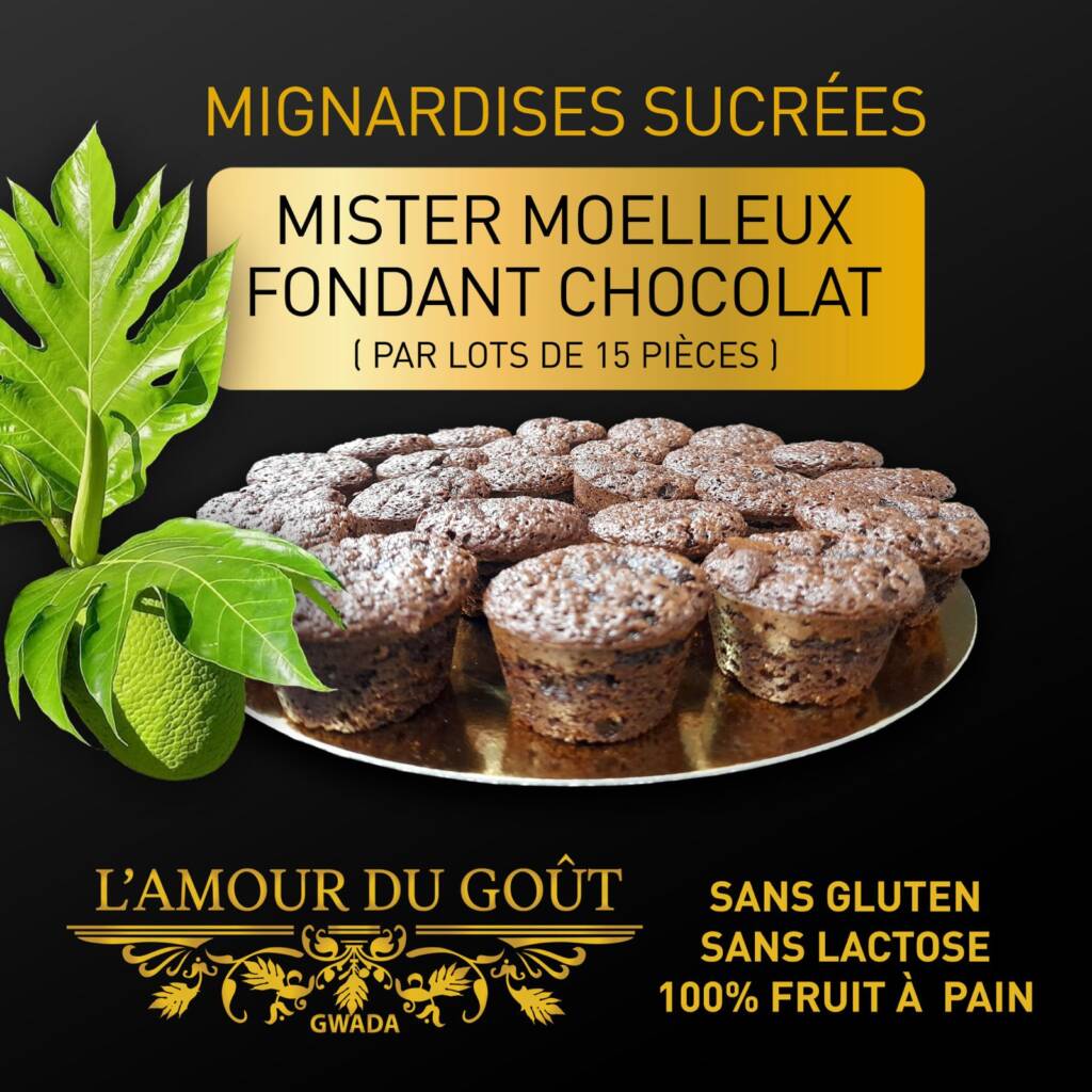 Mignardises sucrées Mister Moelleux Fondant Chocolat par lot de 15 pièces, sans gluten, sans lactose, fruit à pain - L'Amour du Goût Gwada